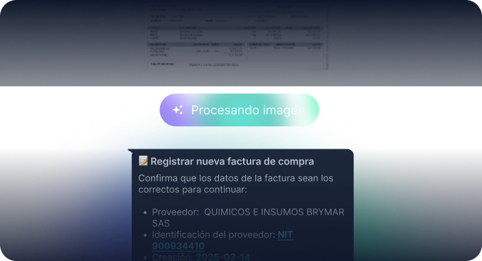   Registro de Facturas 